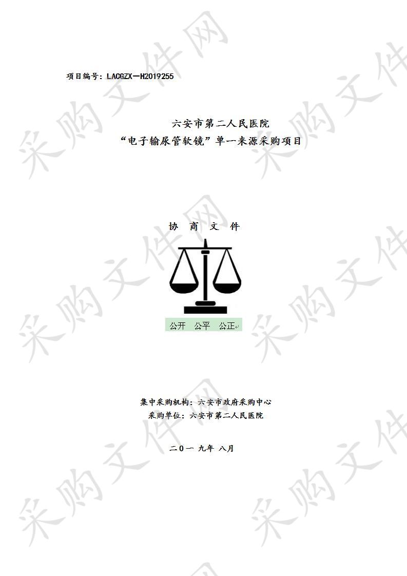 六安市第二人民医院“电子输尿管软镜”项目