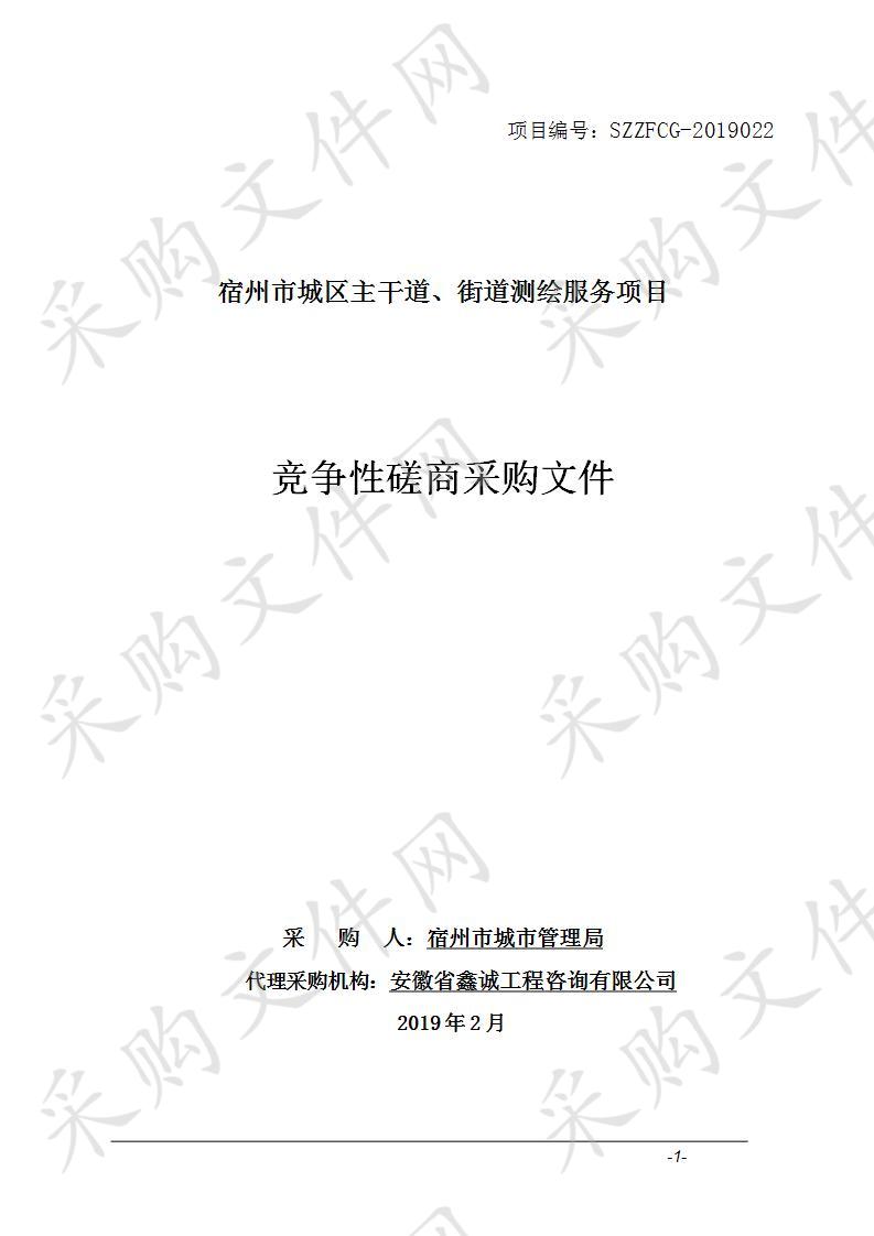 宿州市城区主干道、街道测绘服务项目 