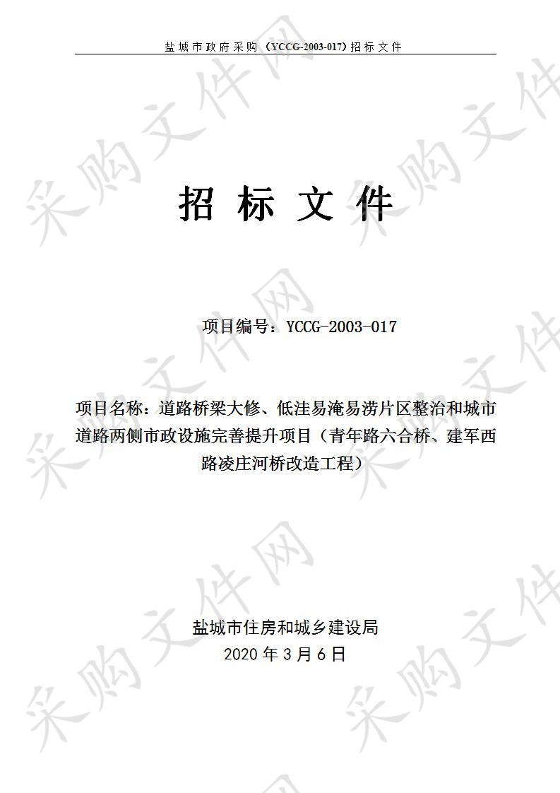 道路桥梁大修、低洼易淹易涝片区整治和城市道路两侧市政设施完善提升项目（青年路六合桥、建军西路凌庄河桥改造工程）