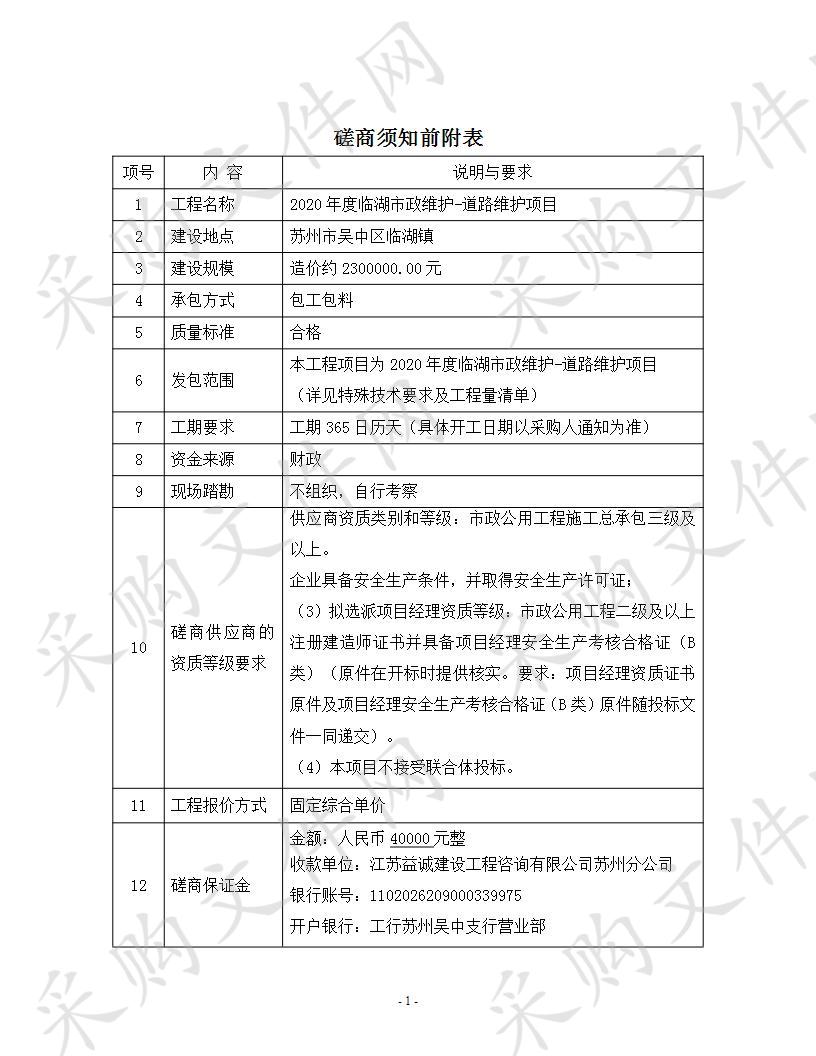 2020年度临湖市政维护-道路维护项目