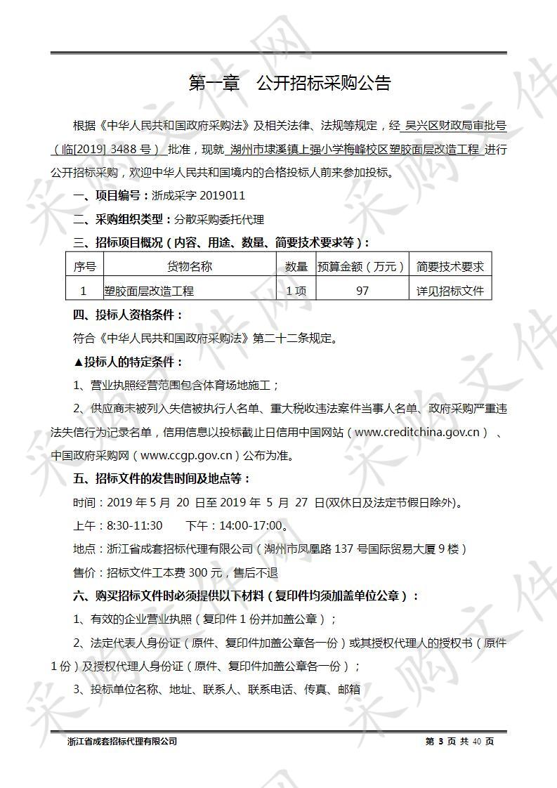 湖州市埭溪镇上强小学梅峰校区塑胶面层改造工程