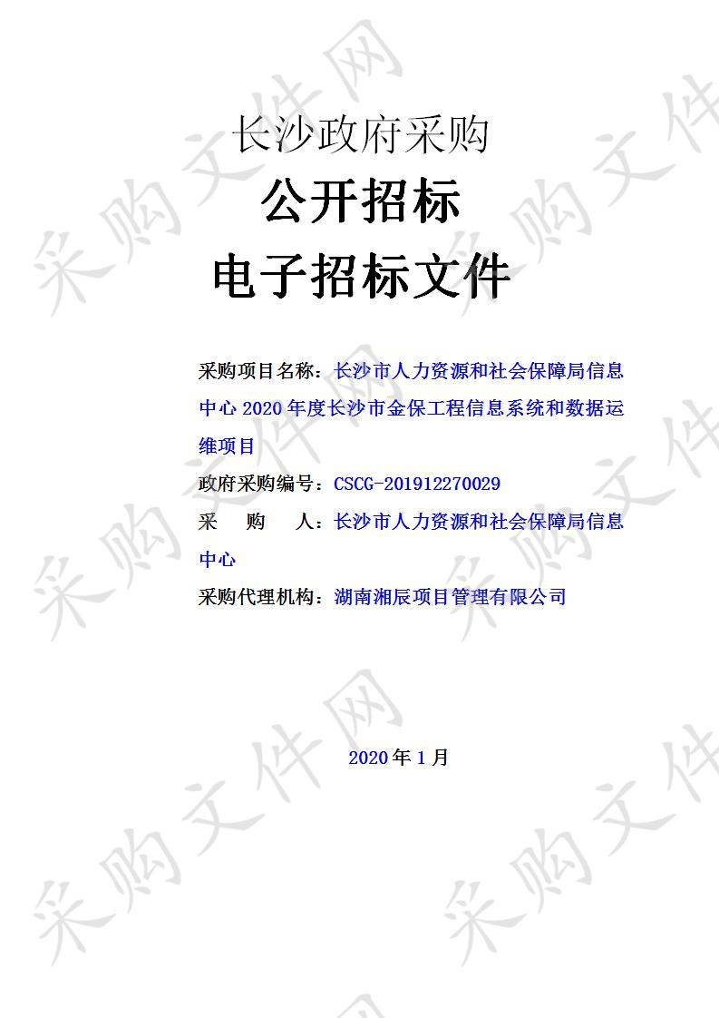 2020年度长沙市金保工程信息系统和数据运维项目