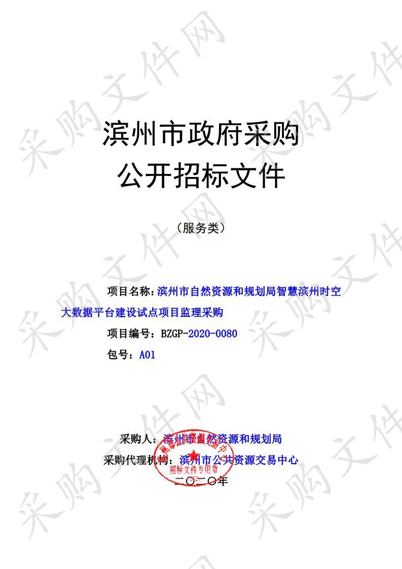 滨州市自然资源和规划局智慧滨州时空大数据平台建设试点项目监理