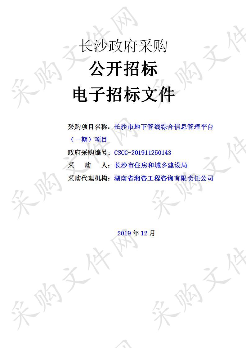 长沙市地下管线综合信息管理平台（一期）项目