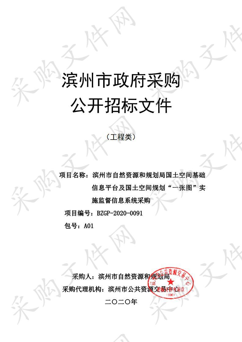 滨州市自然资源和规划局国土空间基础信息平台及国土空间规划“一张图”实施监督信息系统采购