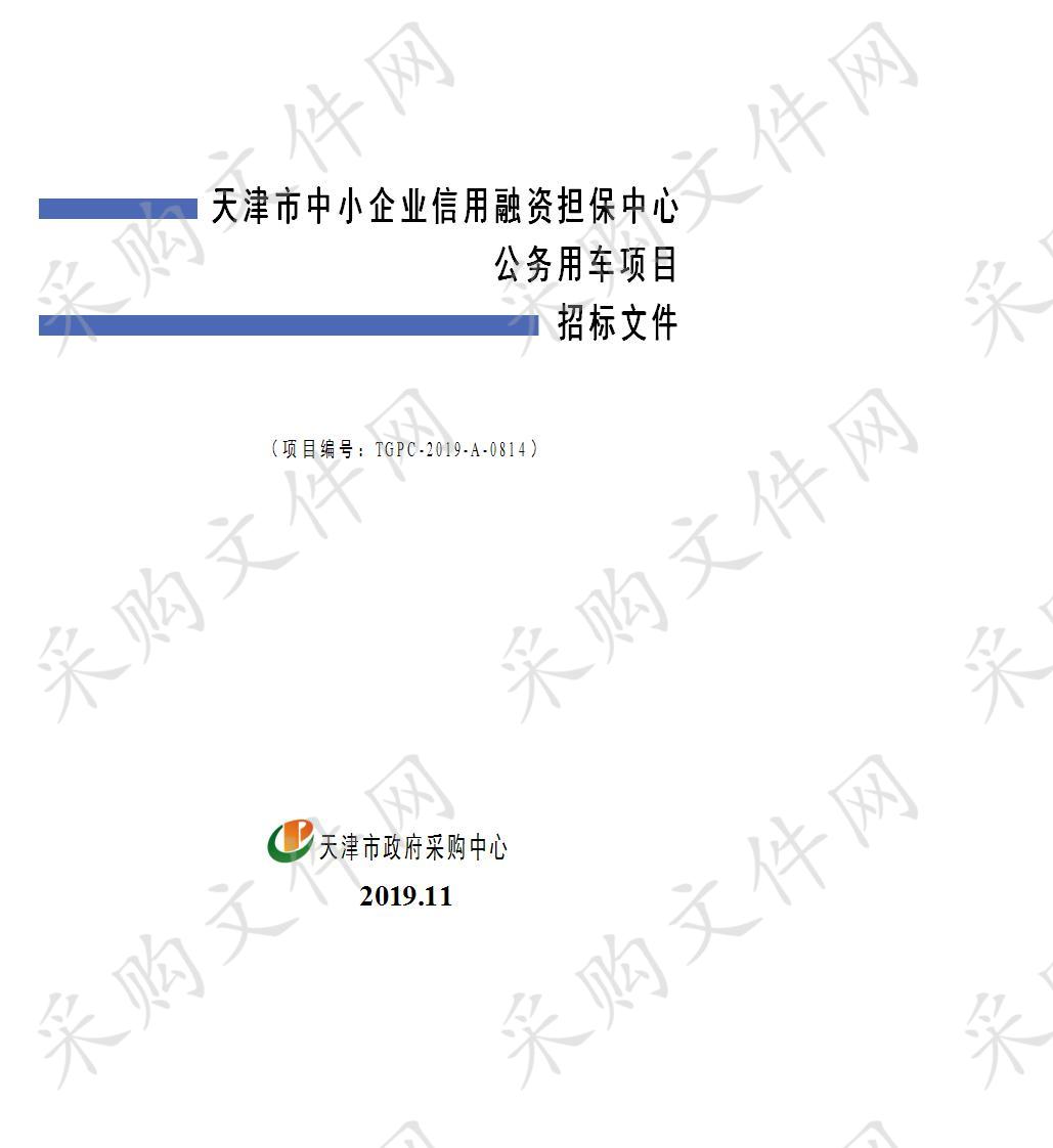 天津市中小企业信用融资担保中心公务用车项目