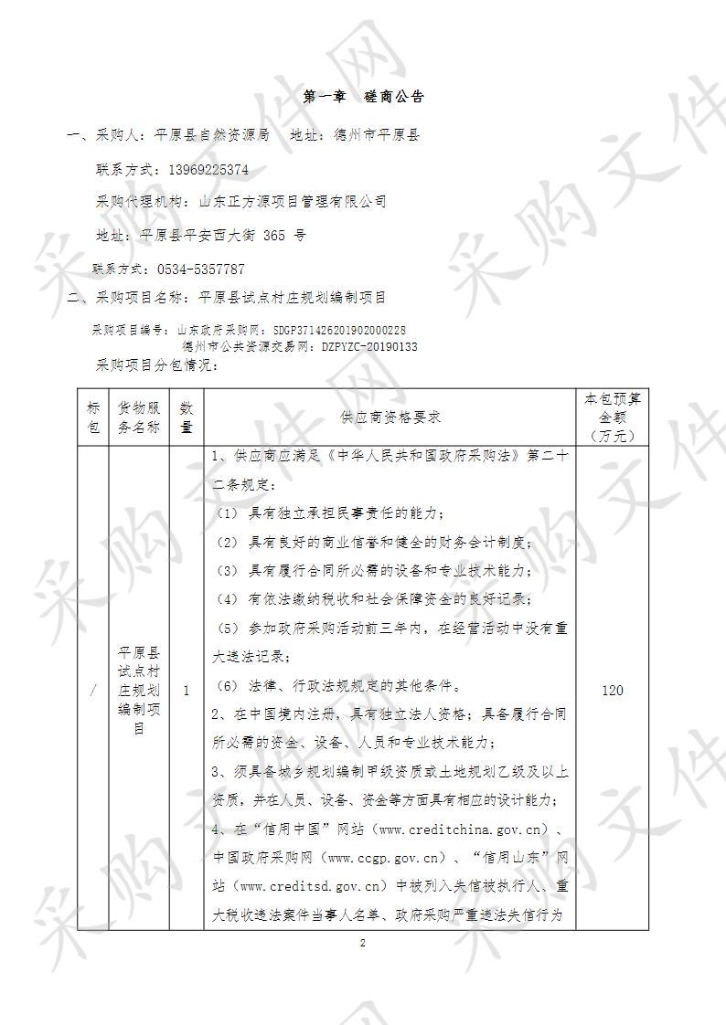 平原县试点村庄规划编制项目