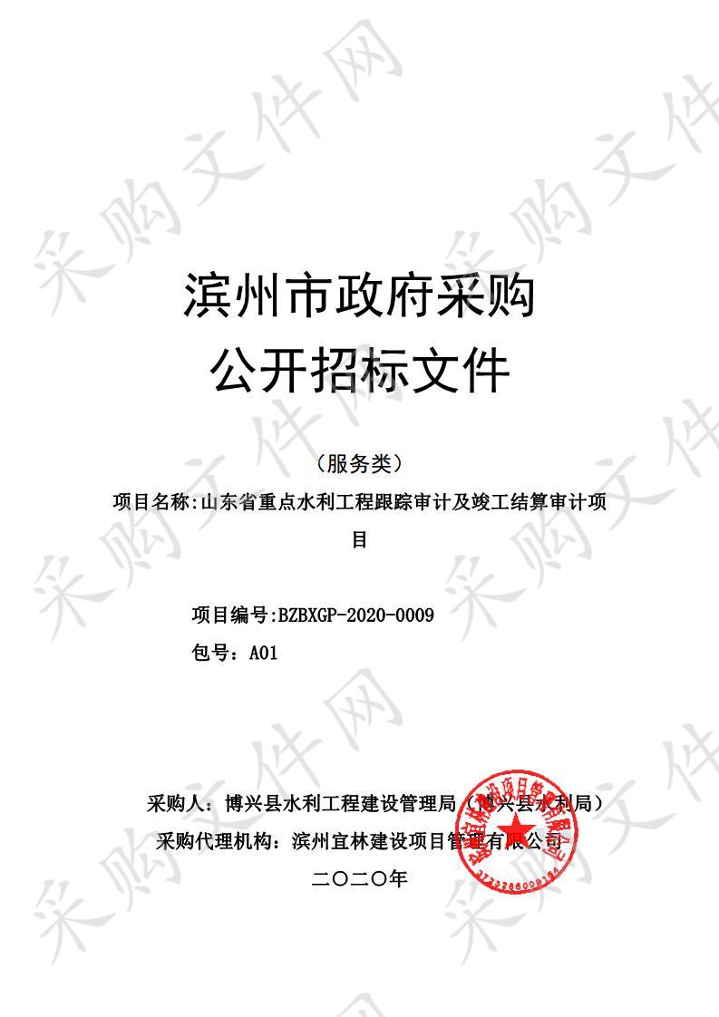 山东省重点水利工程跟踪审计及竣工结算审计项目