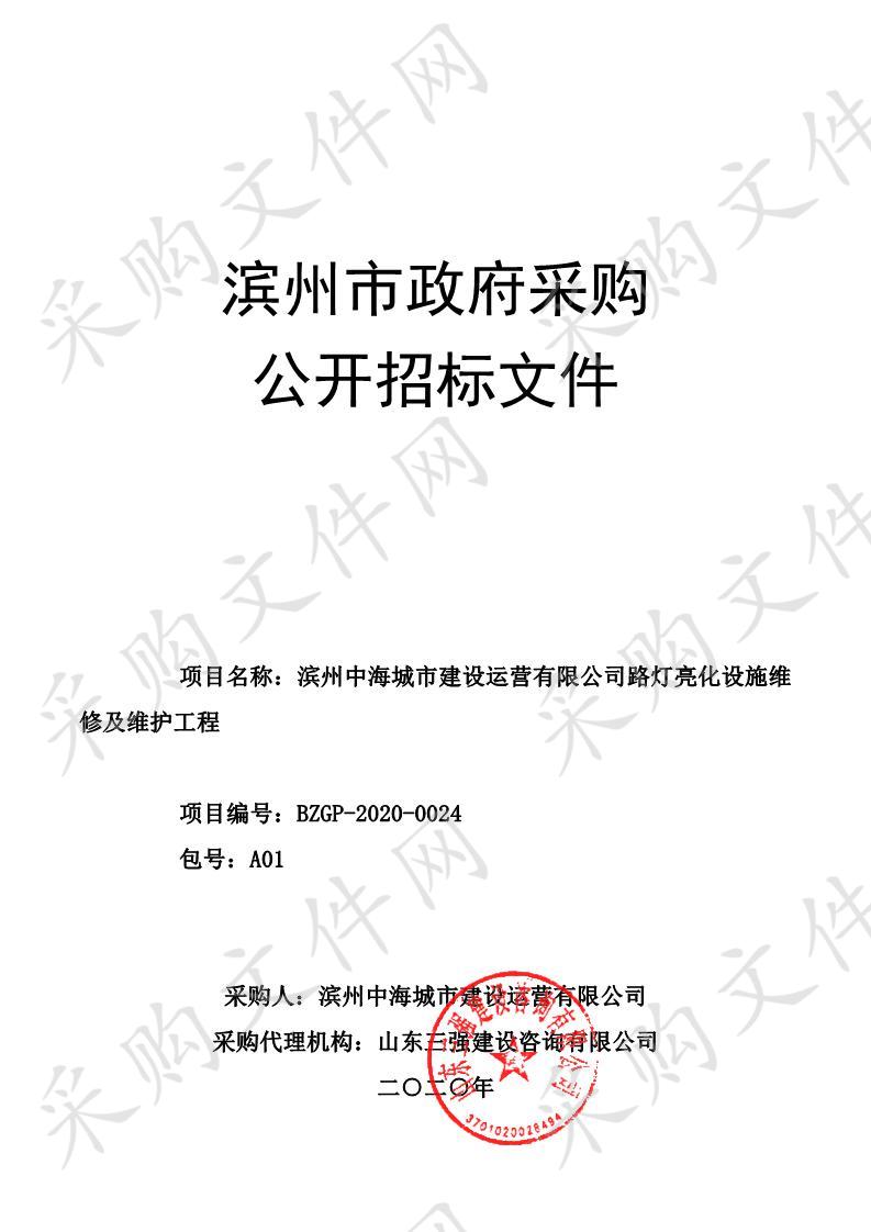 滨州中海城市建设运营有限公司路灯亮化设施维修及维护工程