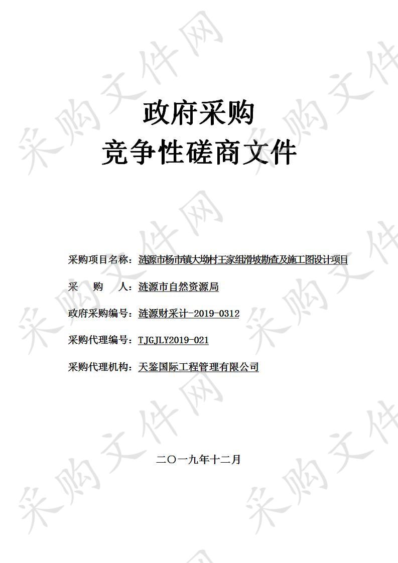 涟源市杨市镇大坳村王家组滑坡勘查及施工图设计项目