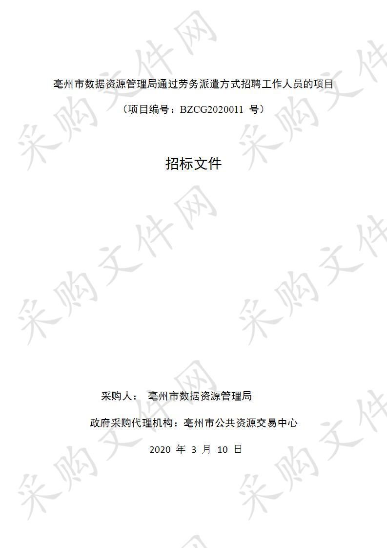 亳州市数据资源管理局通过劳务派遣方式招聘工作人员的项目