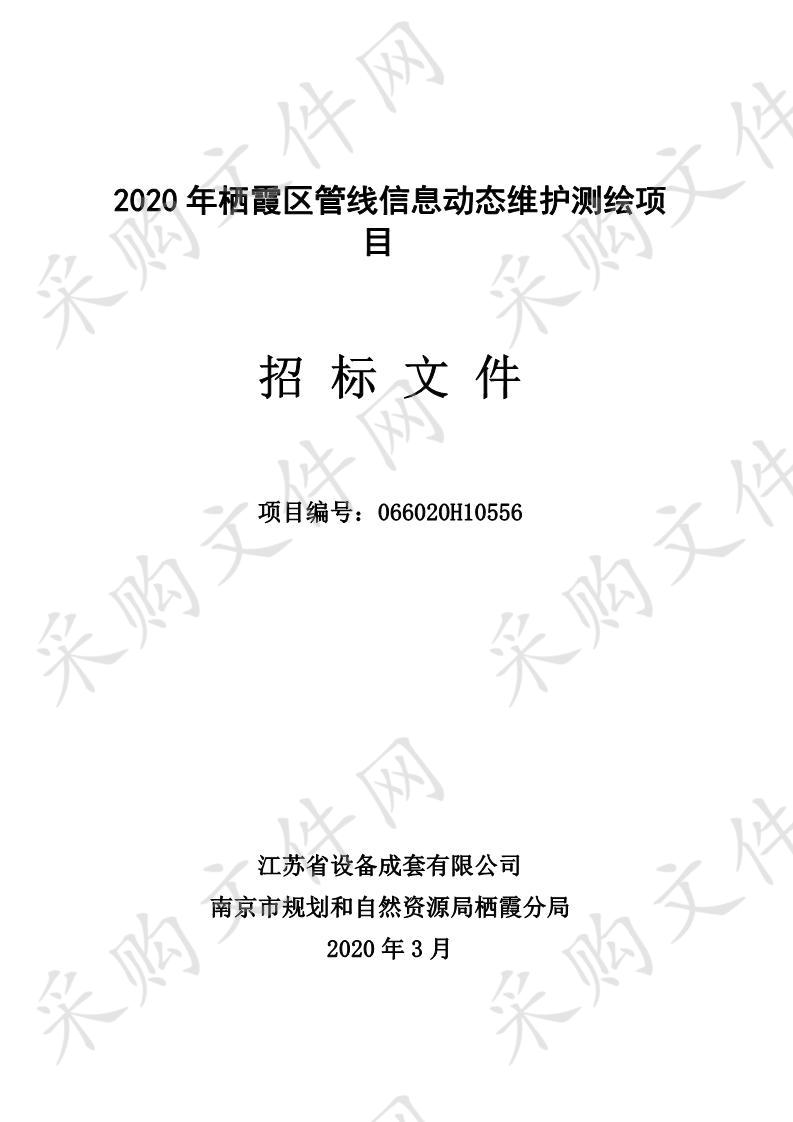 2020年栖霞区管线信息动态维护测绘项目