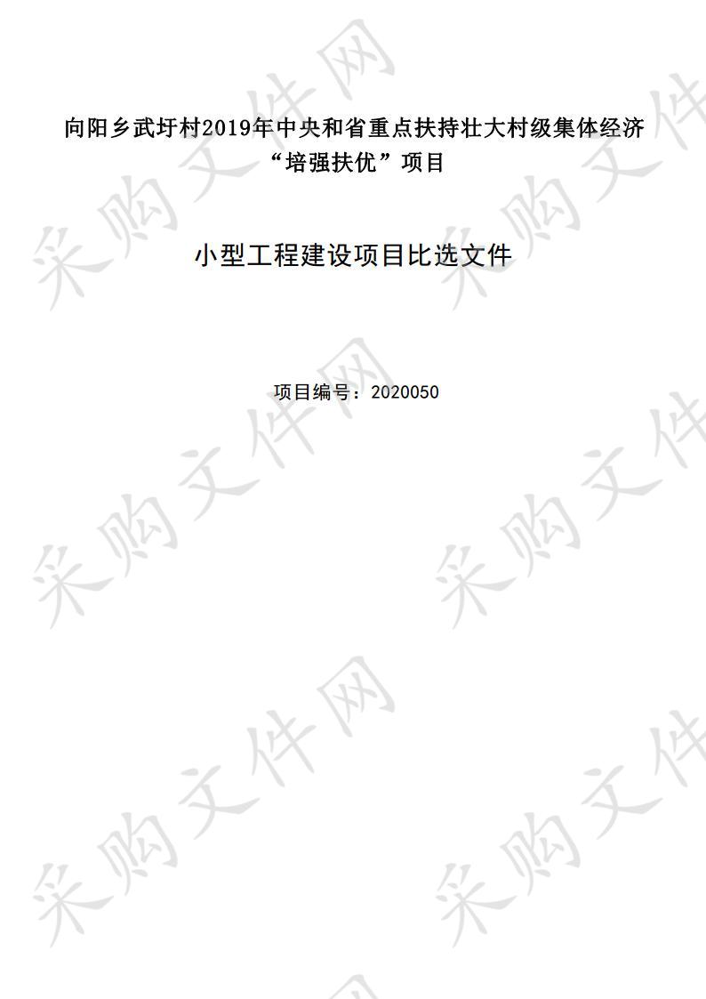 向阳乡武圩村2019年中央和省重点扶持壮大村级集体经济“培强扶优”项目