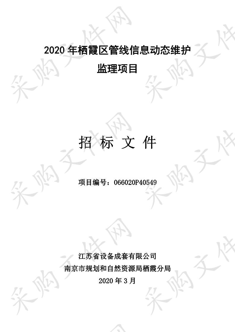 2020年栖霞区管线信息动态维护监理