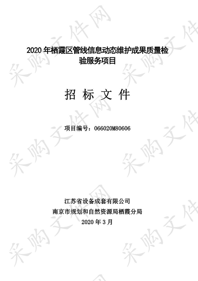 2020年栖霞区管线信息动态维护成果质量检验服务项目