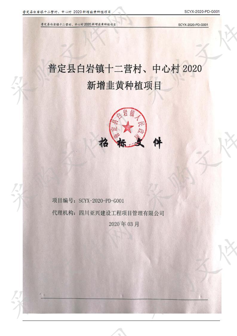 普定县白岩镇十二营村、中心村2020新增韭黄种植项目