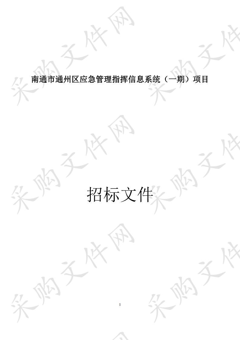 南通市通州区应急管理指挥信息系统（一期）项目