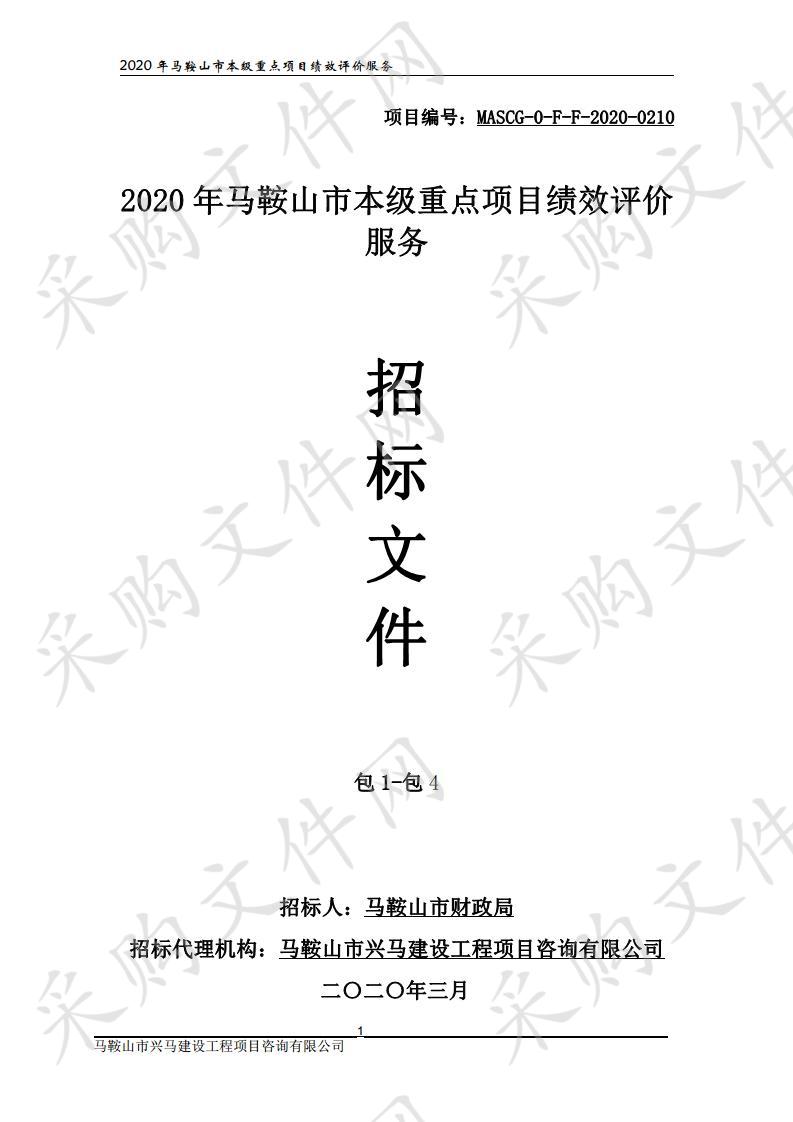 2020年马鞍山市本级重点项目绩效评价服务