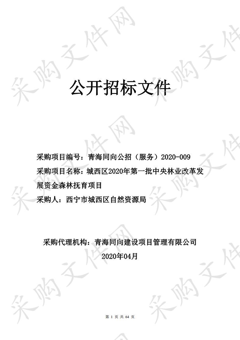 城西区2020年第一批中央林业改革发展资金森林抚育项目