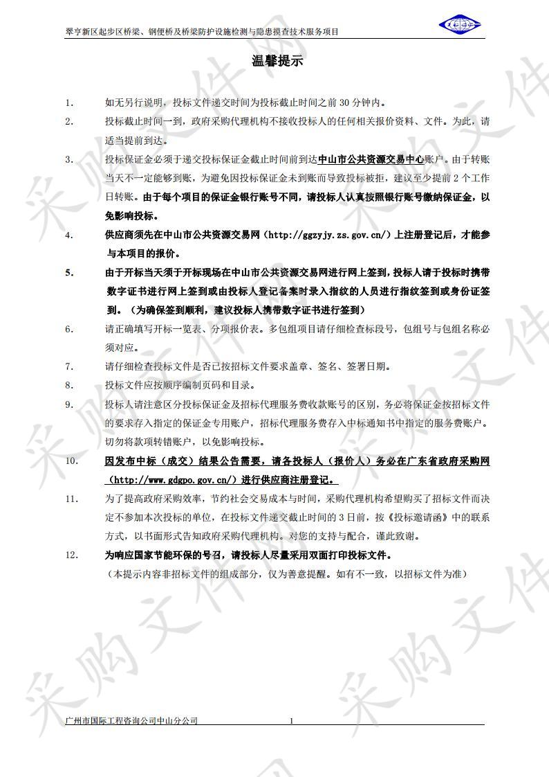 翠亨新区起步区桥梁、钢便桥及桥梁防护设施检测与隐患摸查技术服务项目