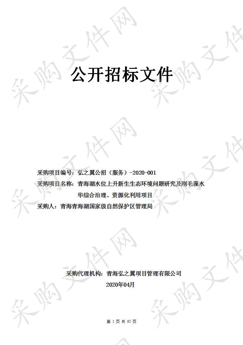 青海湖水位上升新生生态环境问题研究及刚毛藻水华综合治理、资源化利用项目