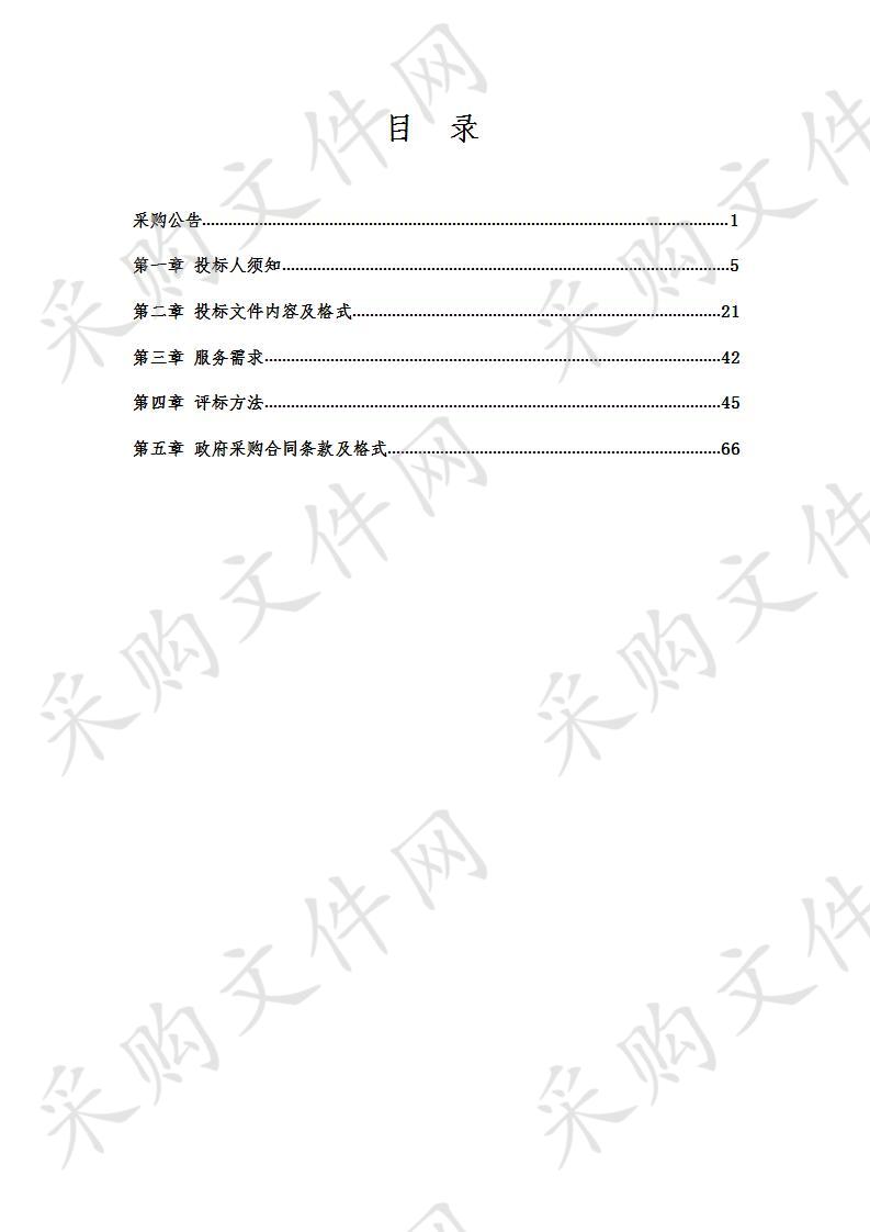 沈北新区智慧平安视频监控一期升级改造项目