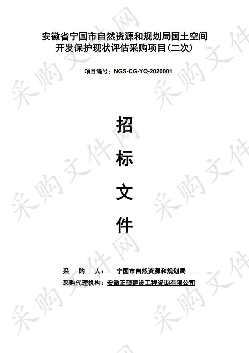 安徽省宁国市自然资源和规划局国土空间开发保护现状评估采购项目