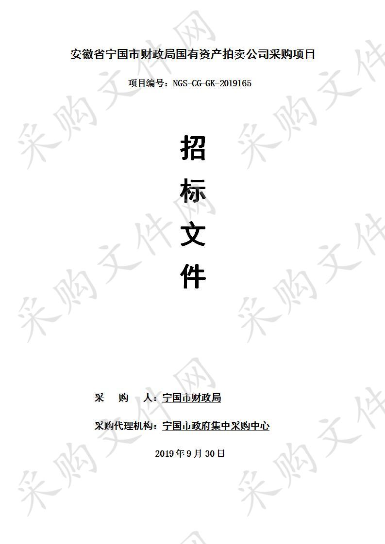 安徽省宁国市财政局国有资产拍卖公司采购项目