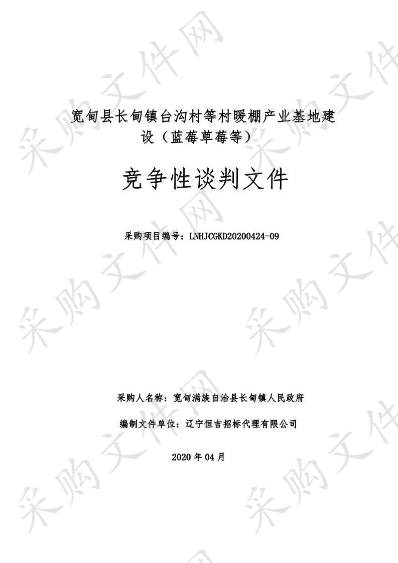 宽甸满族自治县长甸镇人民政府的宽甸县长甸镇台沟村等村暖棚产业基地建设（蓝莓草莓等）