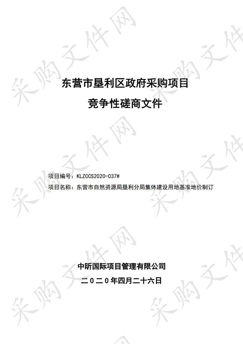 东营市自然资源局垦利分局集体建设用地基准地价制订项目