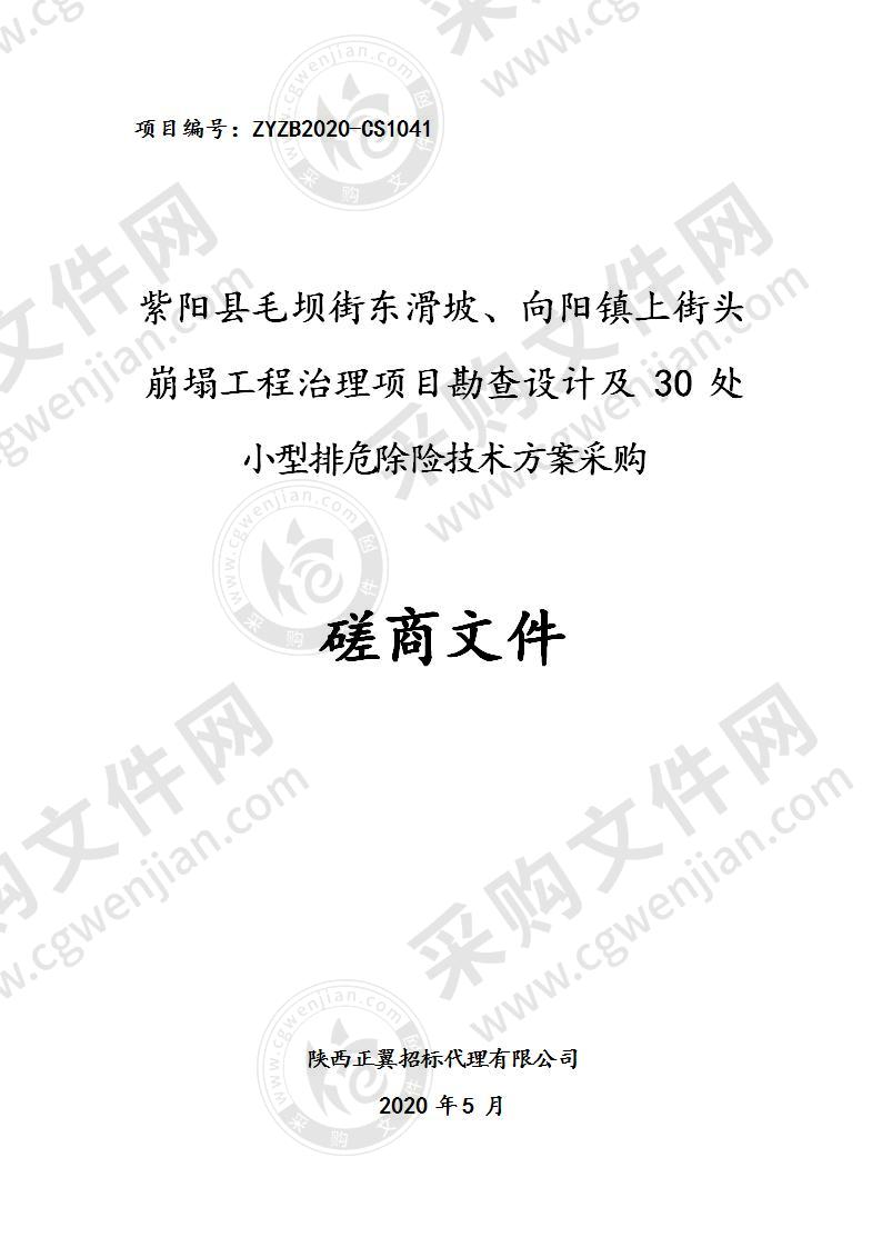 紫阳县毛坝街东滑坡、向阳镇上街头崩塌工程治理项目勘查设计及30处小型排危除险技术方案采购