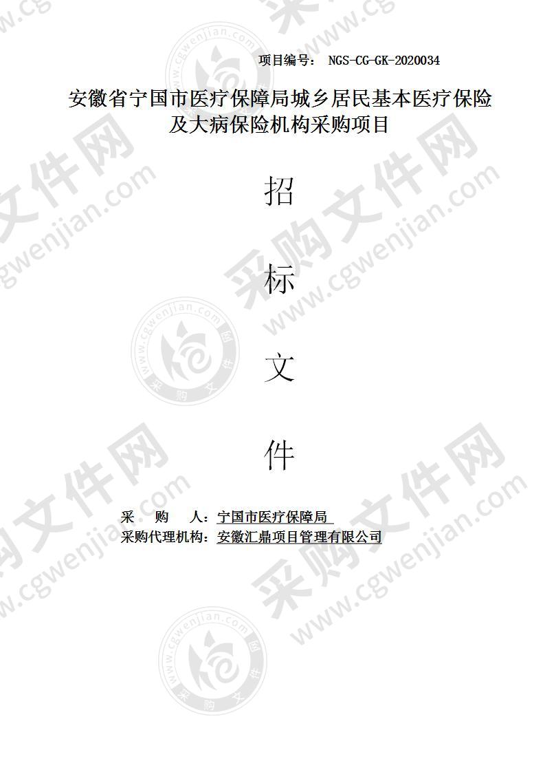 安徽省宁国市医疗保障局城乡居民基本医疗保险及大病保险机构采购项目