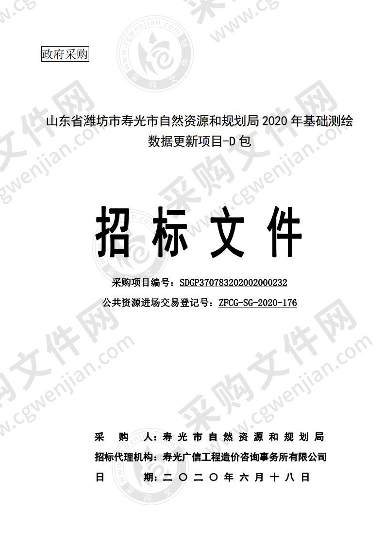 山东省潍坊市寿光市自然资源和规划局2020年基础测绘数据更新项目D包