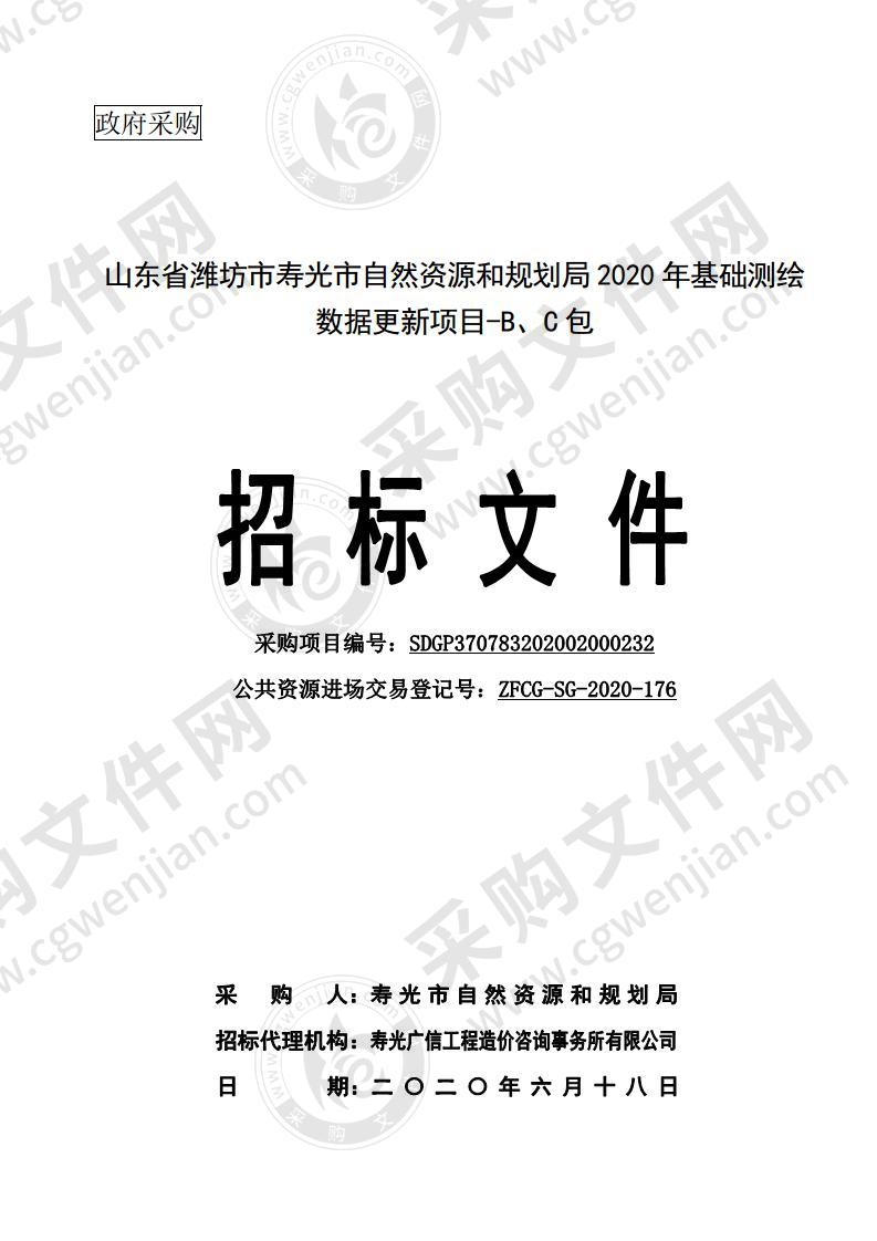 山东省潍坊市寿光市自然资源和规划局2020年基础测绘数据更新项目BC包