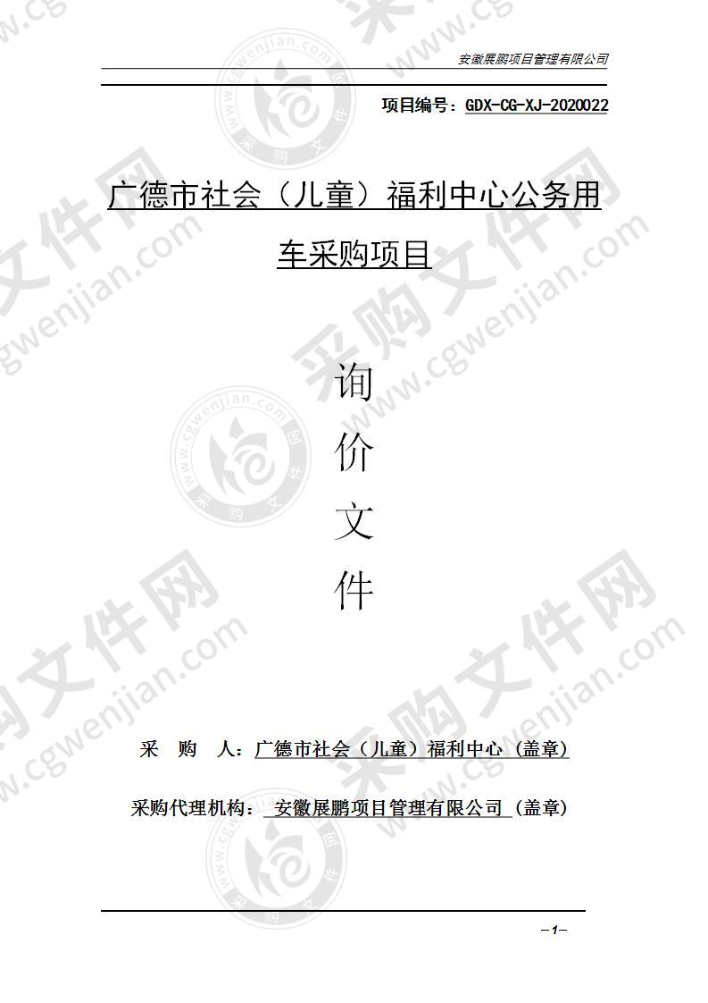 广德市社会（儿童）福利中心公务用车采购项目