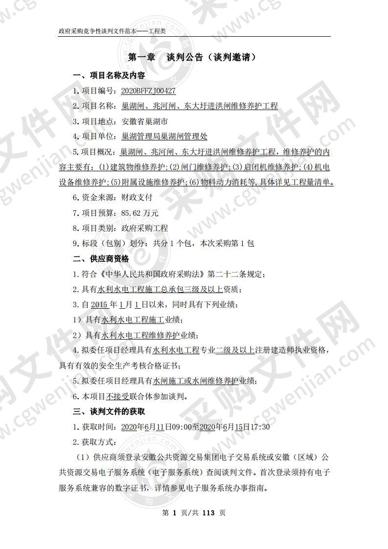 巢湖闸、兆河闸、东大圩进洪闸维修养护工程项目