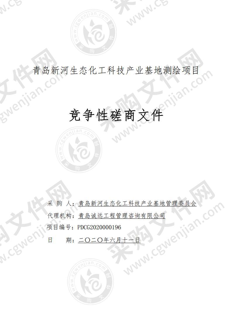 青岛新河生态化工科技产业基地测绘项目