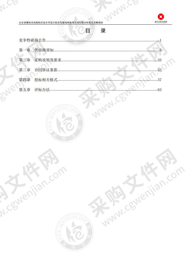 山东省潍坊市滨海经济技术开发区经济发展局核电项目可行性分析报告采购项目