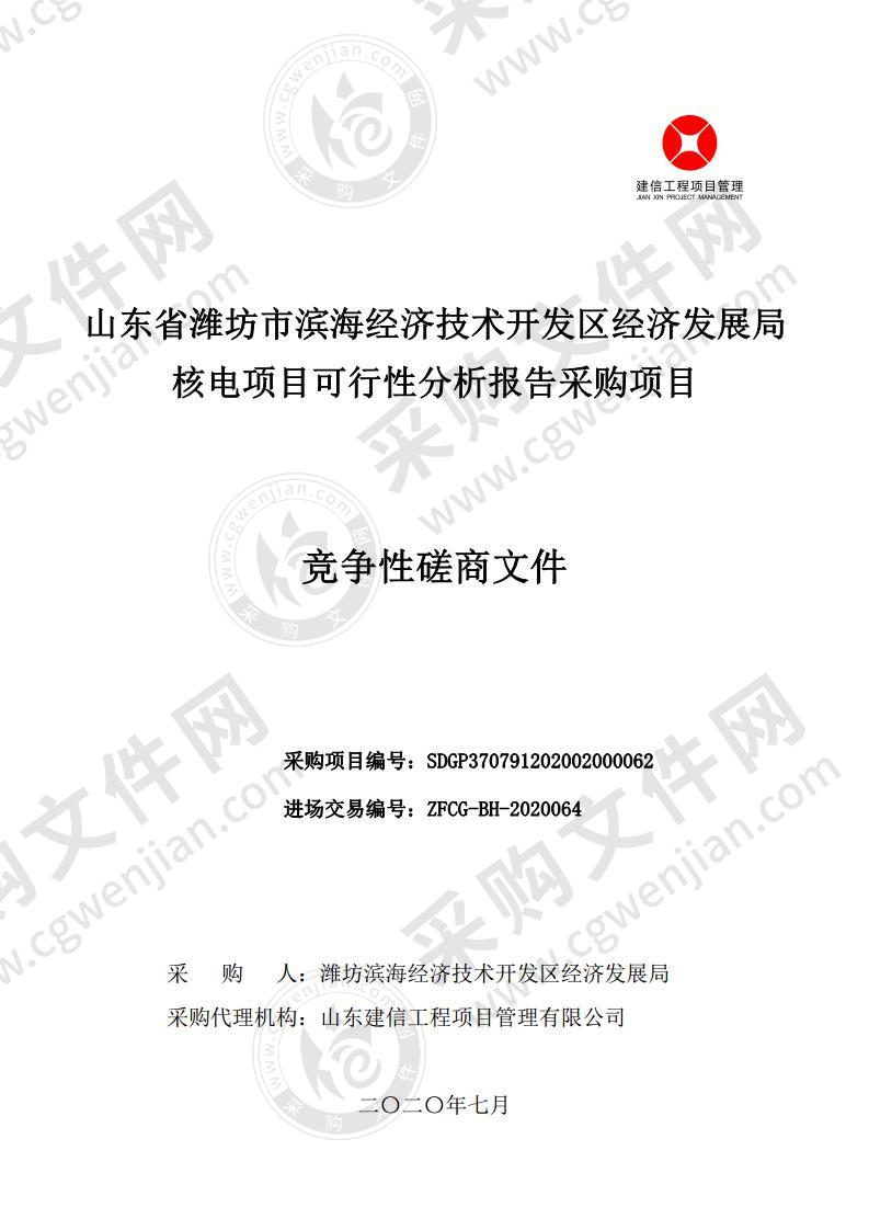 山东省潍坊市滨海经济技术开发区经济发展局核电项目可行性分析报告采购项目