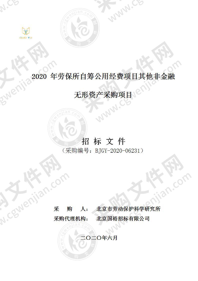 2020 年劳保所自筹公用经费项目其他非金融 无形资产采购项目