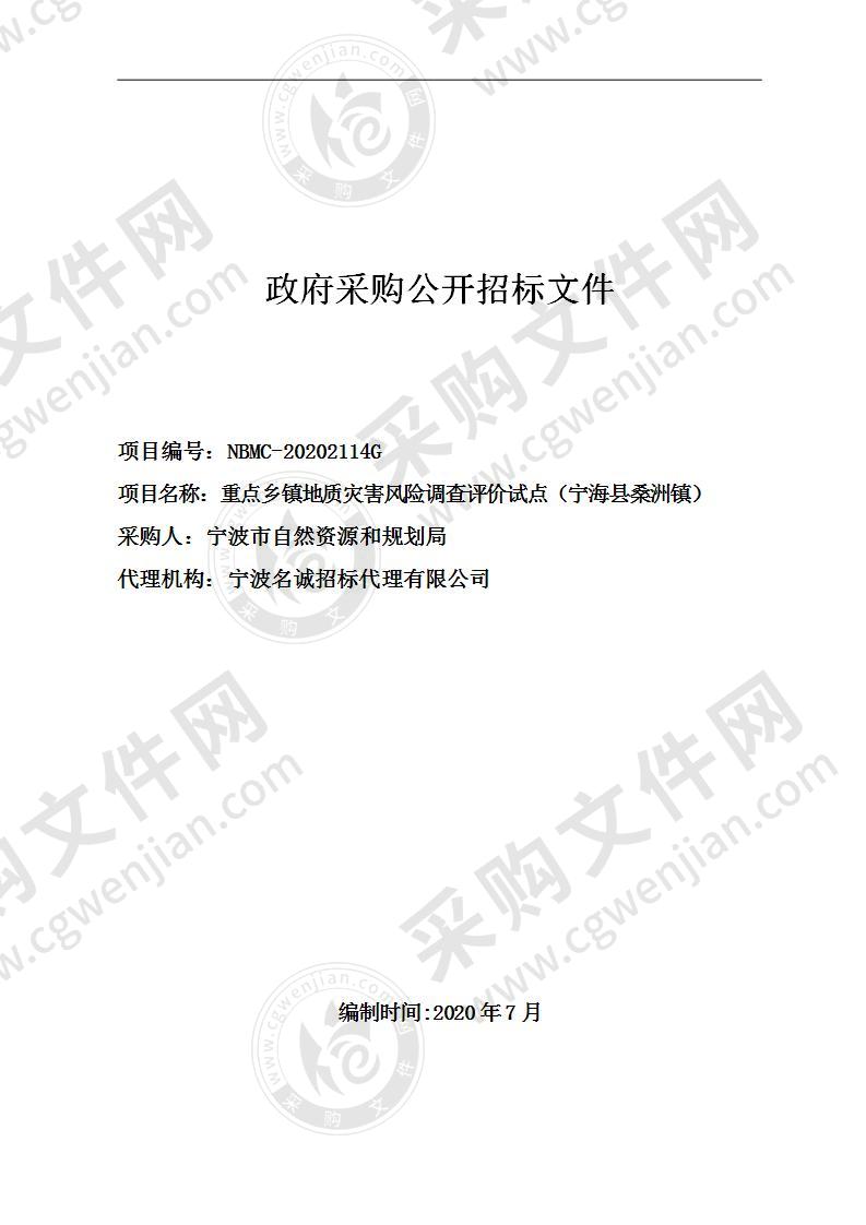 宁波市自然资源和规划局重点乡镇地质灾害风险调查评价试点（宁海县桑洲镇）