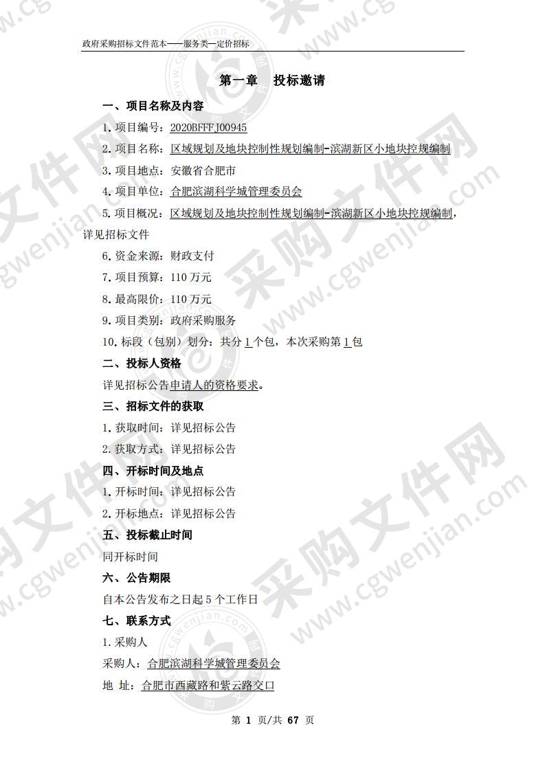 区域规划及地块控制性规划编制-滨湖新区小地块控规编制