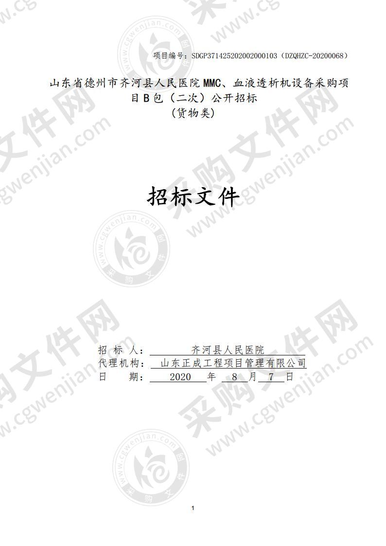 山东省德州市齐河县人民医院MMC、血液透析机设备采购项目（第2包）