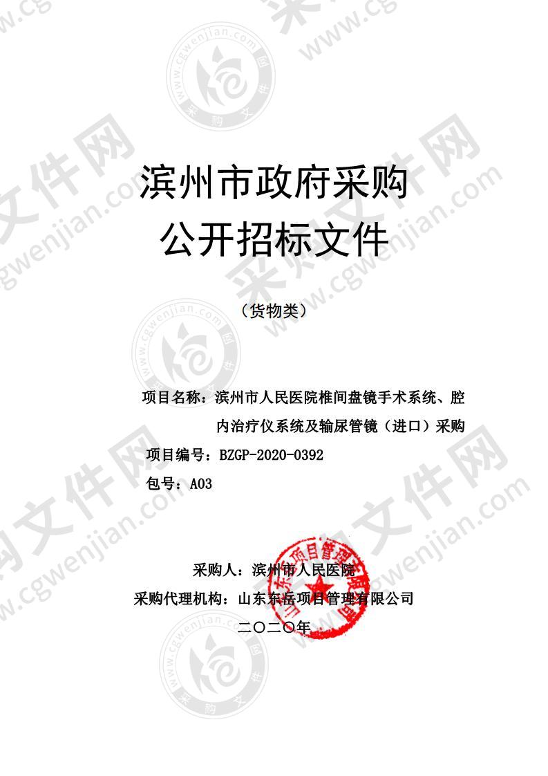 滨州市人民医院椎间盘镜手术系统、腔内治疗仪系统及输尿管镜（进口）采购（第3包）