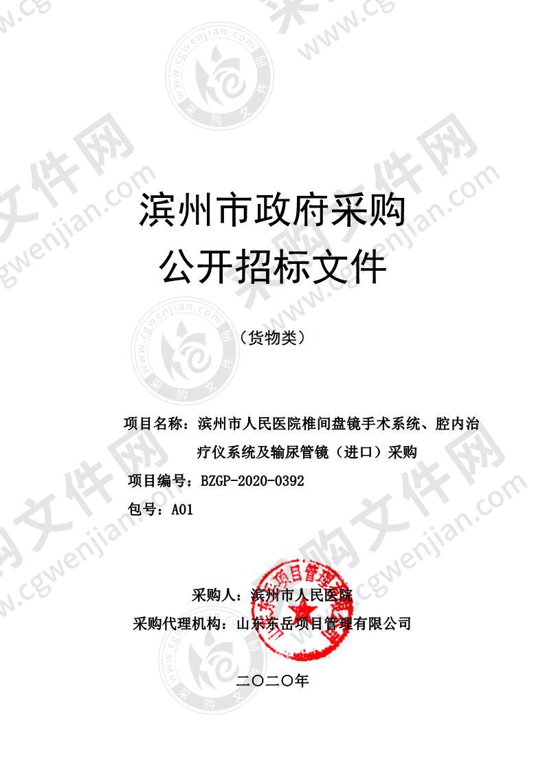 滨州市人民医院椎间盘镜手术系统、腔内治疗仪系统及输尿管镜（进口）采购（第1包）