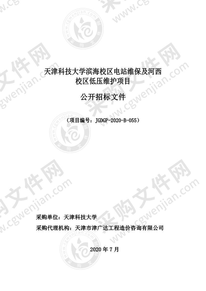 天津科技大学滨海校区电站维保及河西校区低压维护项目