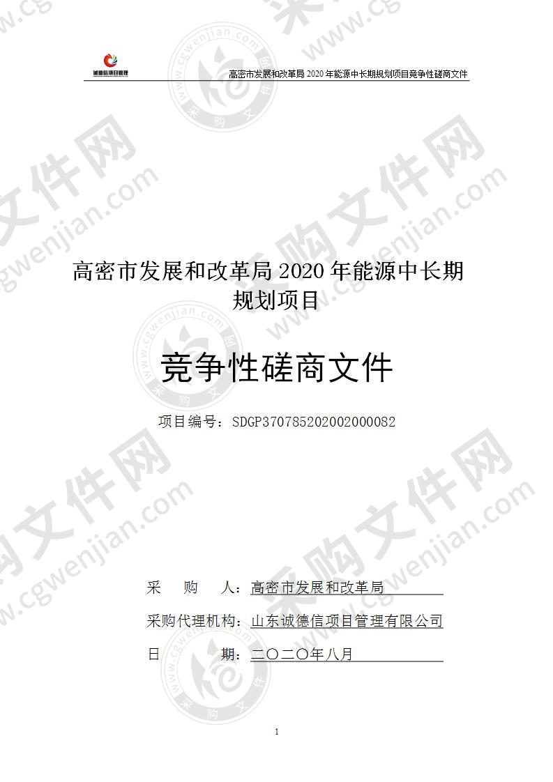 高密市发展和改革局2020年能源中长期规划项目