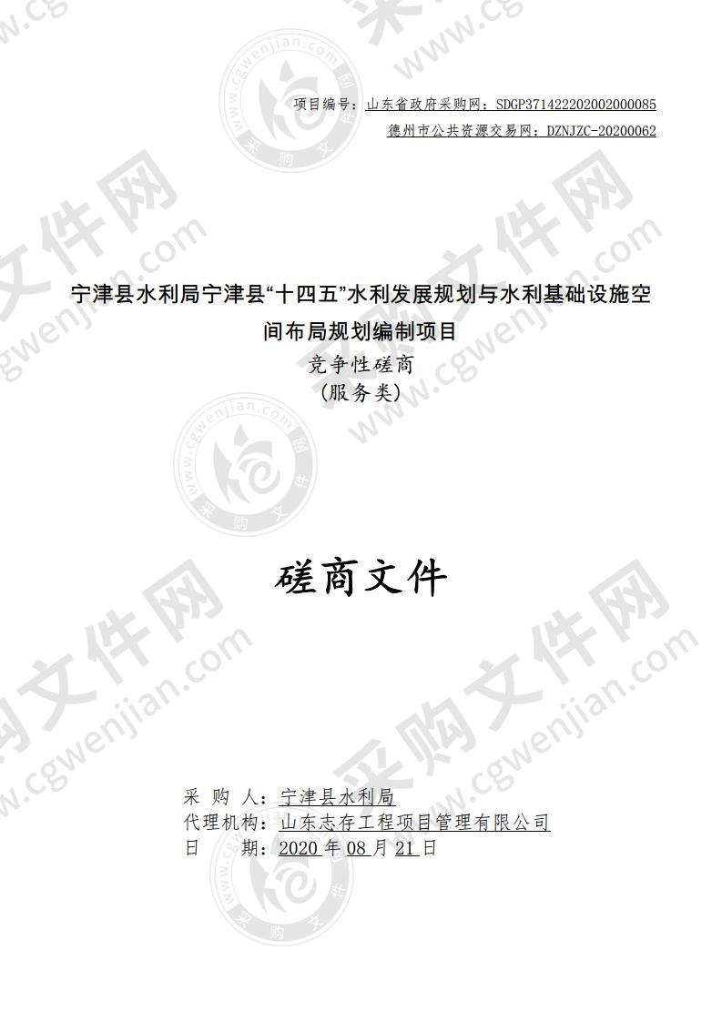 宁津县水利局宁津县“十四五”水利发展规划与水利基础设施空间布局规划编制项目