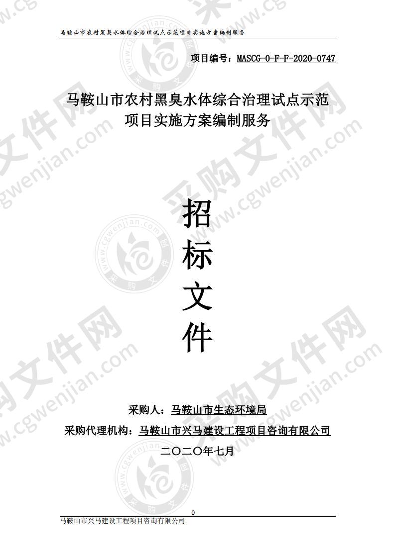 马鞍山市农村黑臭水体综合治理试点示范项目实施方案编制服务