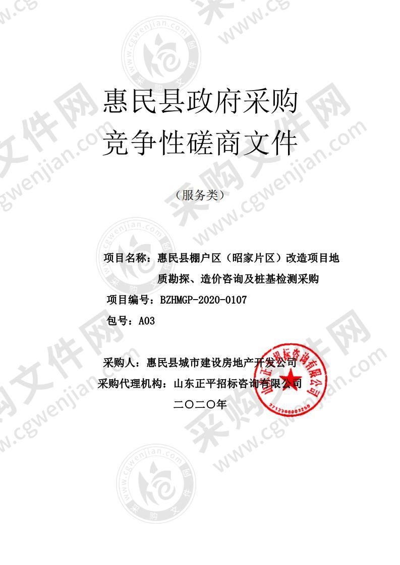 惠民县棚户区（昭家片区）改造项目地质勘探、造价咨询及桩基检测采购A03包